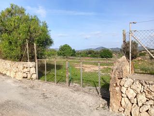 Residential Plot in S´Illot-Cala Morlanda. Cp1243 solar edificable   son carriosant llorenç