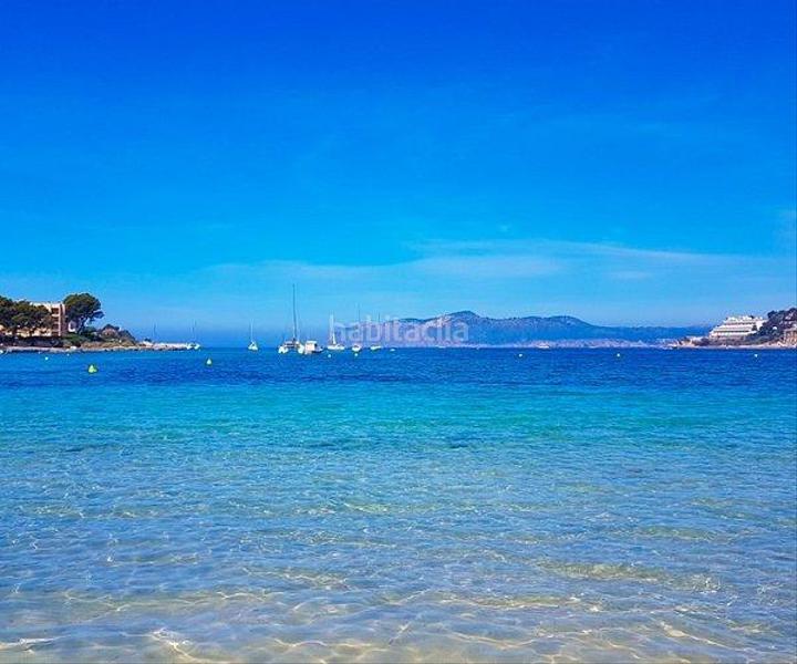 Foto b69923f9-b581-44ca-89ed-fff9c5dbf0d9. Attique avec piscine dans Costa de la Calma Calvià