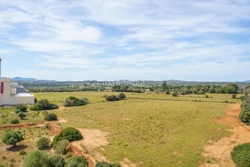 Foto a868bd65-fe49-42f3-a2c1-20aae6720425. Apartament amb calefacció a Porto Cristo Manacor
