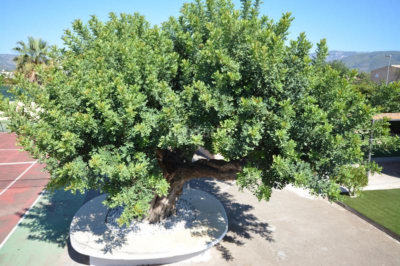 Foto a1354ec0-9854-4c5b-9855-9f83c37f9d05. Xalet amb calefacció piscina a Pont D´Inca Marratxí