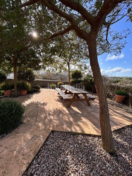 Foto 0721abc2-8296-4cd6-9569-3d29b460dc54. Casa adossada amb aparcament piscina a Alaior poble Alaior