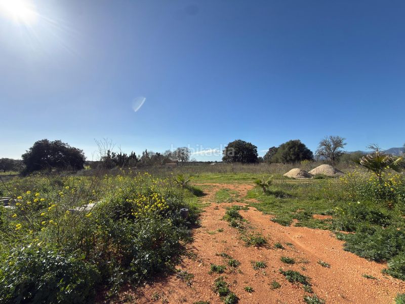 Foto adf470d6-b53f-4f35-946a-51ac9a6b9a88. Masia amb aparcament piscina a Zona Periurbana Inca