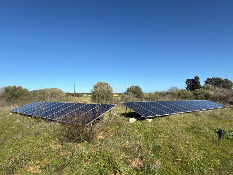 Foto de91b775-3b35-4bf6-affd-4d1cd1dfeb16. Masia amb aparcament piscina a Zona Periurbana Inca