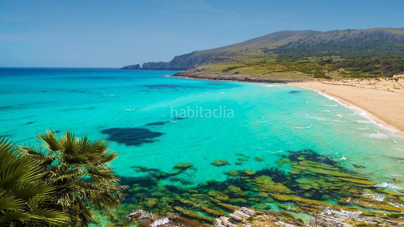 Foto 34341260-8e6d-49dc-8b78-5fced67e969d. Casa adossada amb aparcament piscina a Artà poble Artà