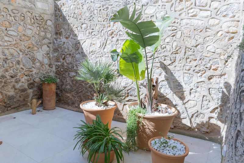 Foto 823dbc91-1ad1-47b1-9764-b94c10a37eb0. Casa a Mancor de la Vall