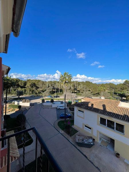 Foto 233a40fd-e1be-4898-8271-0d1b2dba9033. Àtic amb aparcament piscina a Santa Ponça Calvià