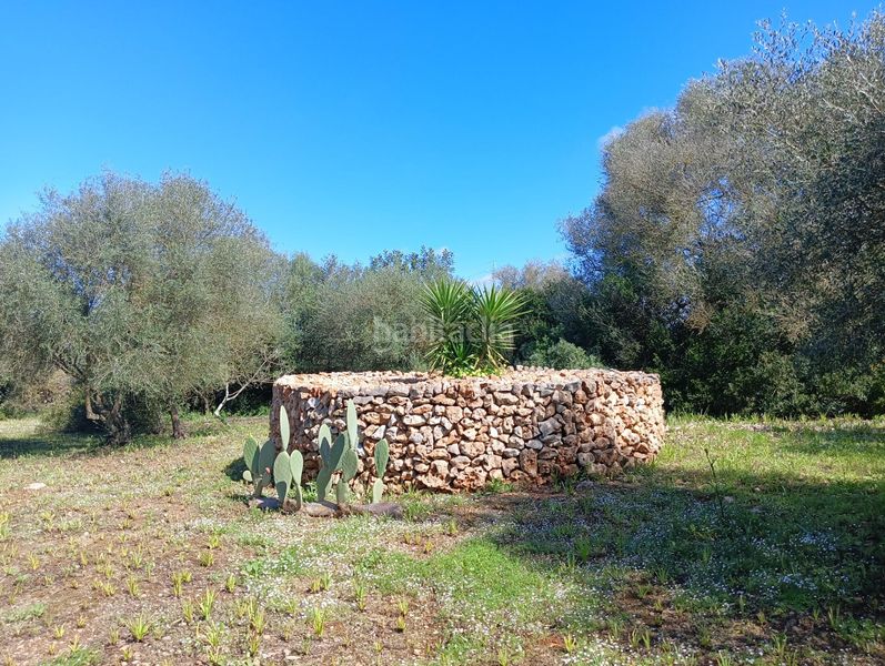 Foto 815e8b03-8631-4994-bce4-9b724ef05195. Casa a Manacor centre Manacor