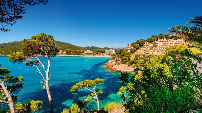 Foto 0a4b12b4-c8f5-4503-bf6f-77edb0fdb260. Duplex con parcheggio piscina in Capdepera poble Capdepera