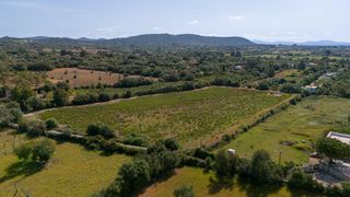 Terreny residencial a Camino Camí Alacantí