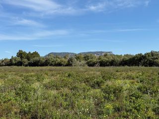 Wohngrundstück in Llucmajor Interior. Terreno rústico con proyecto y resolución favorable en llucmajor