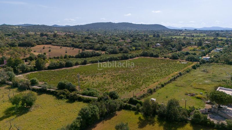 Foto b254d759-1f4d-4448-8224-b364777876cb. Finca rústica a Llucmajor interior Llucmajor