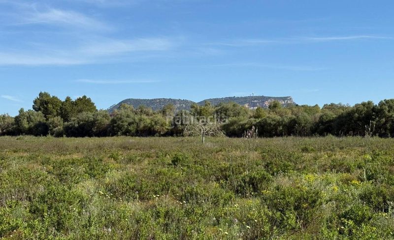 Foto df574264-b228-43f5-83d9-4061122a76da. Finca rústica a Llucmajor interior Llucmajor