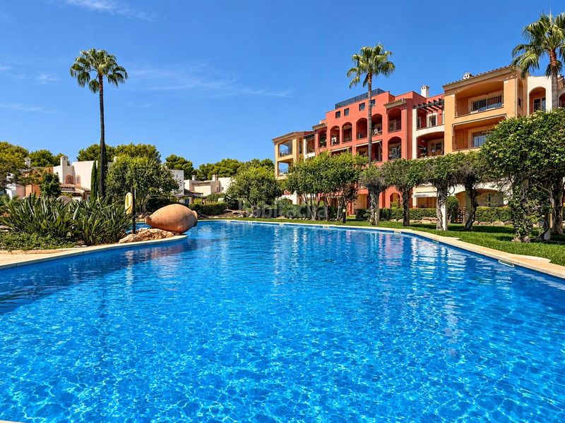Foto ea8e61f5-2402-423d-9e40-04a3fa4ed644. Àtic amb aparcament piscina a Santa Ponça Calvià
