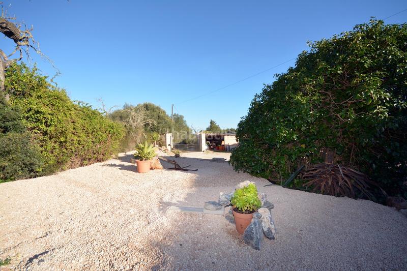 Foto 27cc9a42-2a98-4274-a076-a8710e7c652f. Bauernhof mit heizung parking pool in Llucmajor interior Llucmajor