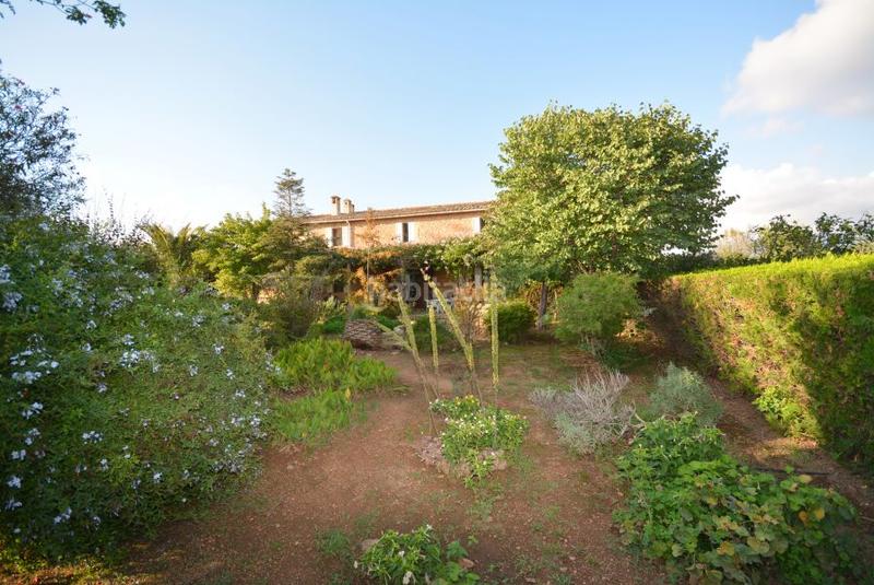 Foto 1c4b5fa2-664b-452d-8e90-cab84f7911ae. Masia amb calefacció aparcament piscina a Es Garrovers Marratxí