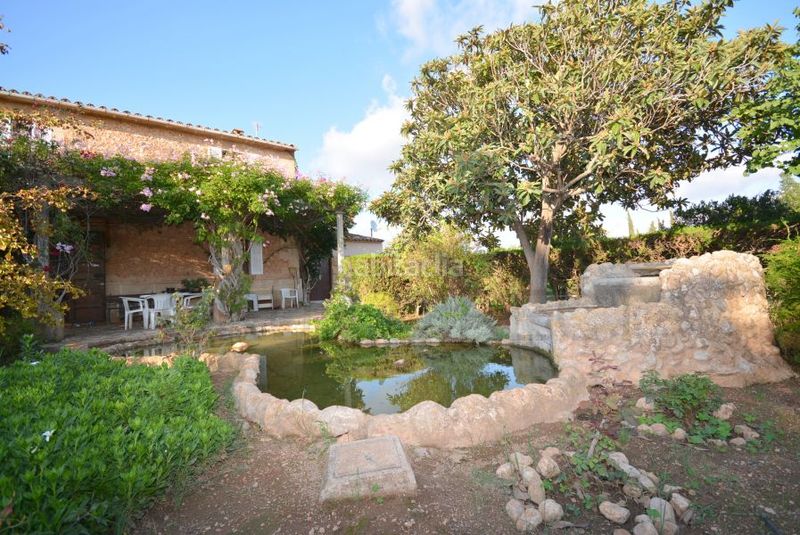 Foto 3bd397f7-42bd-41dc-9a34-2c8ced45f2ab. Masia amb calefacció aparcament piscina a Es Garrovers Marratxí