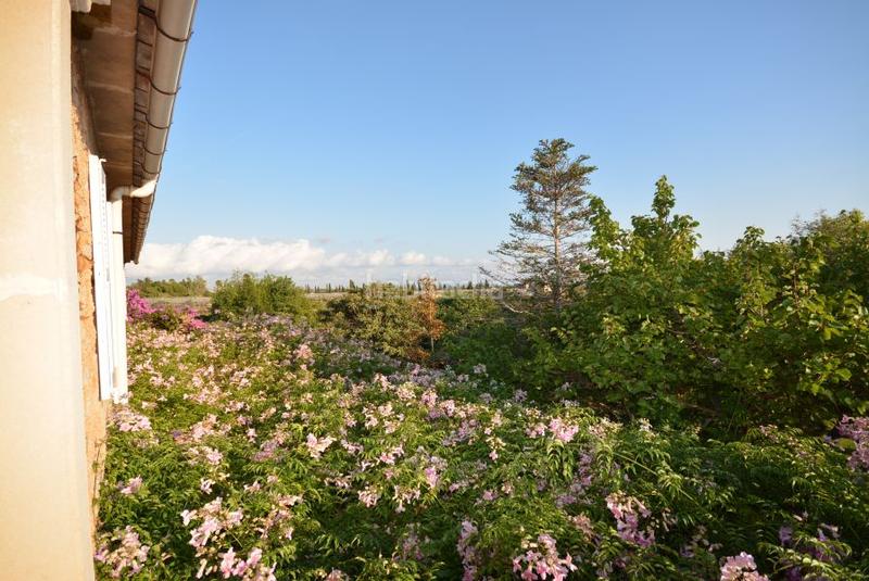 Foto 50bfd651-3709-42aa-8ee9-83e0f5cd089e. Masia amb calefacció aparcament piscina a Es Garrovers Marratxí