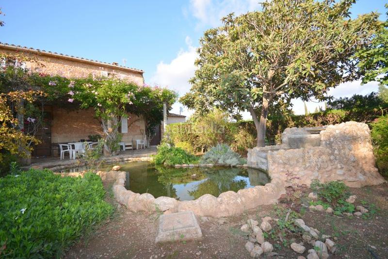 Foto a4296e9a-560c-410c-905e-85e7ff957511. Masia amb calefacció aparcament piscina a Es Garrovers Marratxí