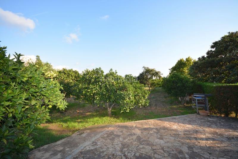 Foto b6f60bca-c1fd-4c61-bf5d-b603967ed97a. Masia amb calefacció aparcament piscina a Es Garrovers Marratxí