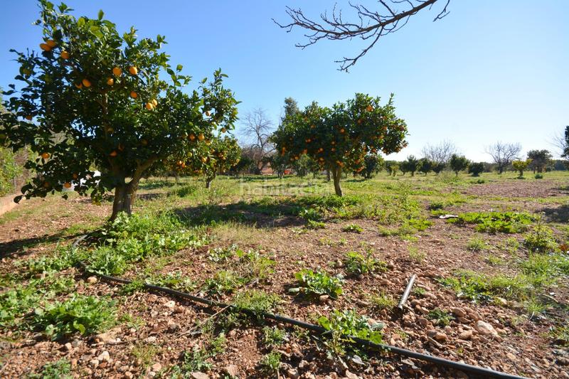Foto df058da8-7b27-471b-ba13-895df9b16cb5. Masia amb calefacció aparcament piscina a Es Garrovers Marratxí