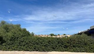 Terreny residencial  Calle de la punta reina