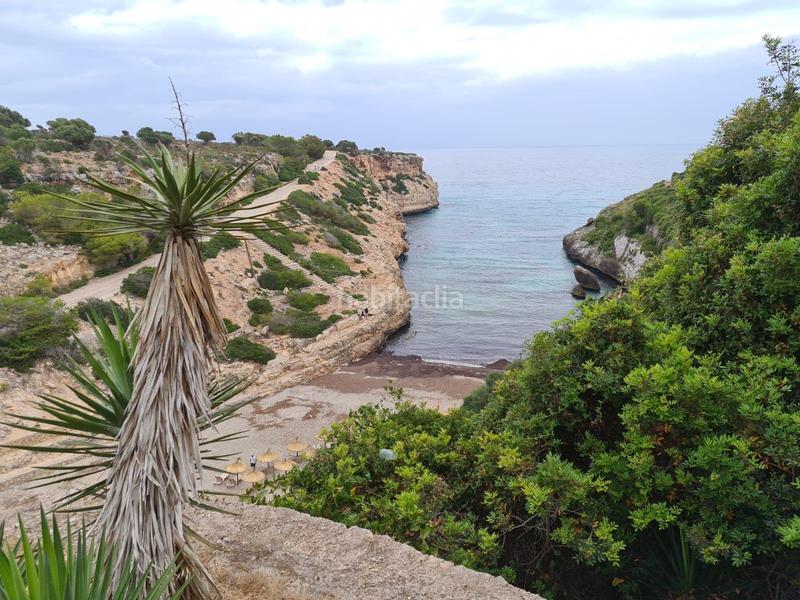 Foto 930a7e6c-67a5-49b2-9586-a04d342cdde9. Terrain résidentiel dans Manacor centre Manacor