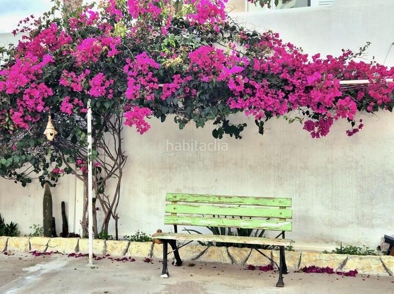 Foto 07e25bf9-07bc-4320-adb0-f91d3d263d81. Planta baja en Cala d´Or Santanyí