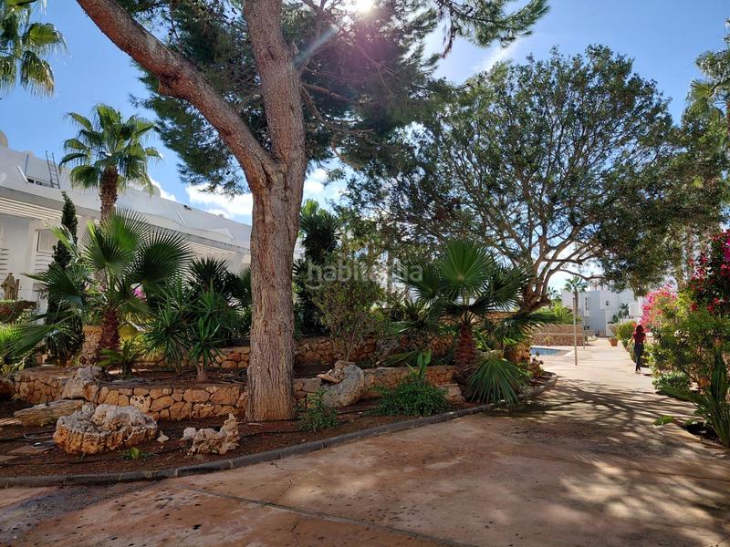 Foto 61c0731e-674f-4335-9d0a-5c4eb30ffa63. Planta baixa amb aparcament piscina a Cala d´Or Santanyí