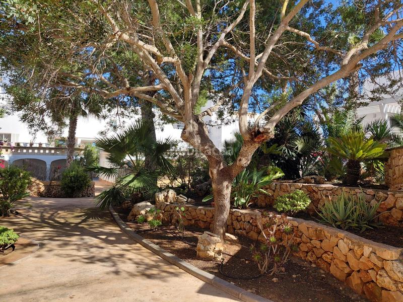 Foto 64f4c0c0-11cf-4b96-aa53-beee2417d33e. Planta baixa amb aparcament piscina a Cala d´Or Santanyí