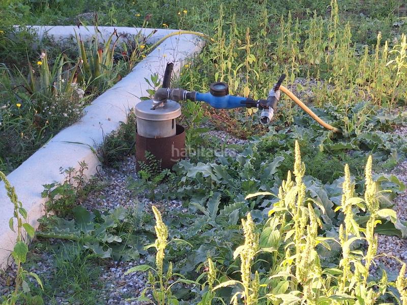 Foto 43551402-c055-4959-9f2f-f0ba036ed37a. House with parking in Manacor centre Manacor