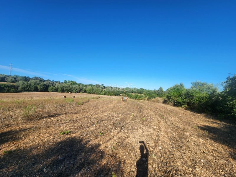 Foto e0865be9-8583-4378-86bf-3ced37c0819b. Landgut in Manacor centre Manacor
