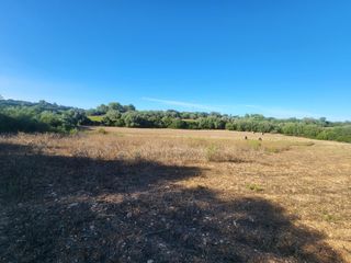 Finca rústica en Polígono Polígono Diez