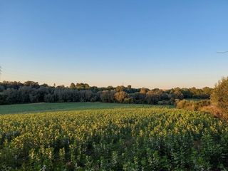 Finca rústica en Polígono Polígono Diez