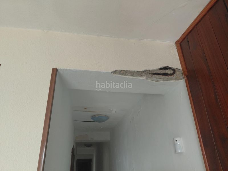 Foto d3bec39a-eb59-425b-a7ed-5931b9a8e7e3. Pis a Porto Cristo Manacor