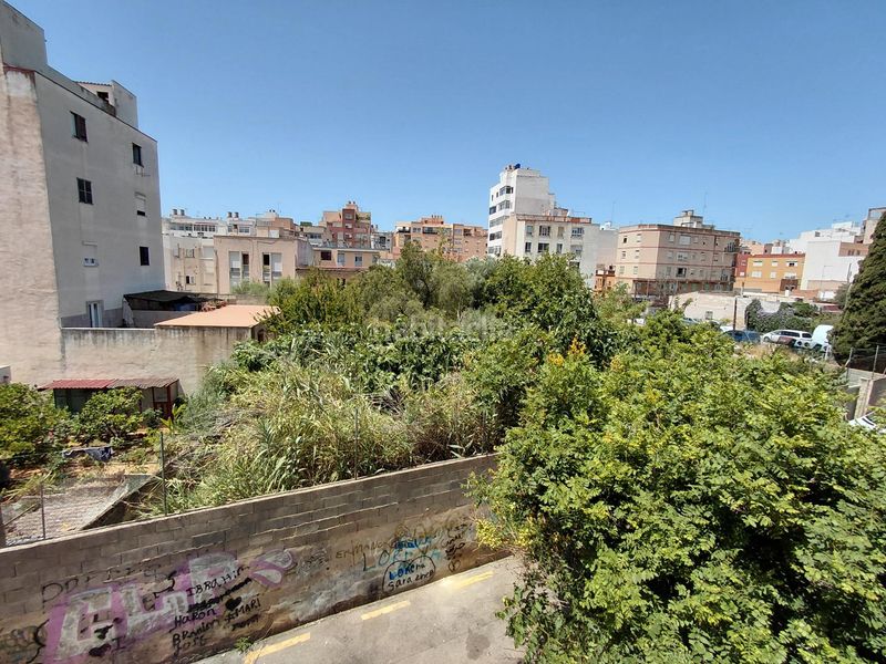 Foto b6ea01ed-98d8-4c0e-a5cd-a7ee955e0a3c. Pis a Son Gotleu Palma de Mallorca