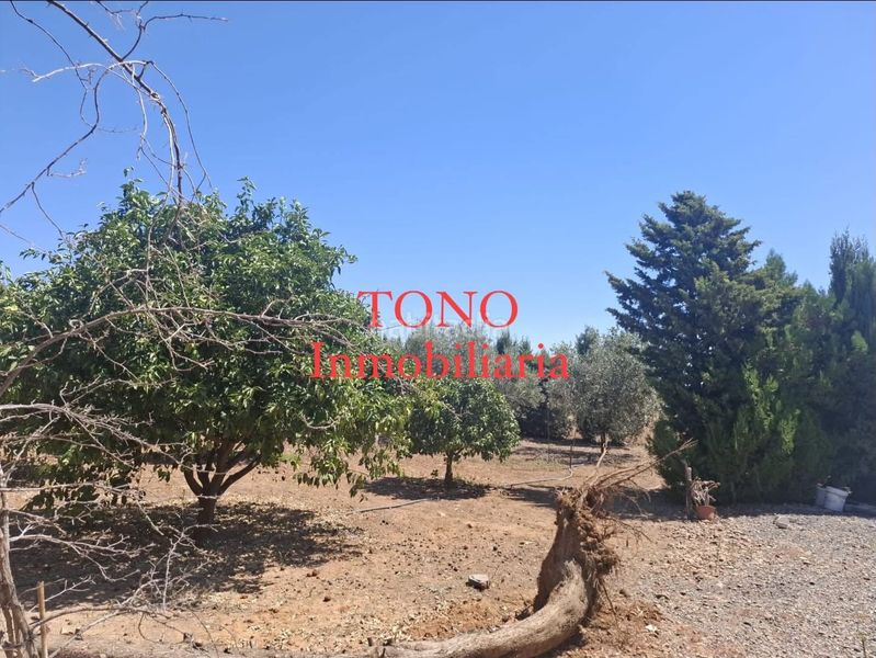Foto 1fcc39f5-5041-41e2-9581-cfd6577308fb. Finca rústica a Cañada Rosal