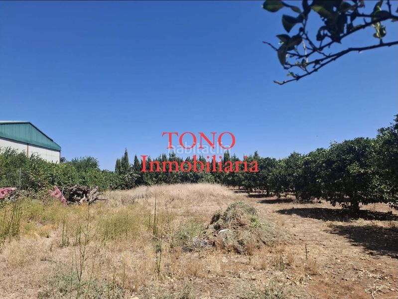 Foto fefb537a-9e6c-4f94-a32b-fb6a9d7a1db1. Finca rústica a Cañada Rosal