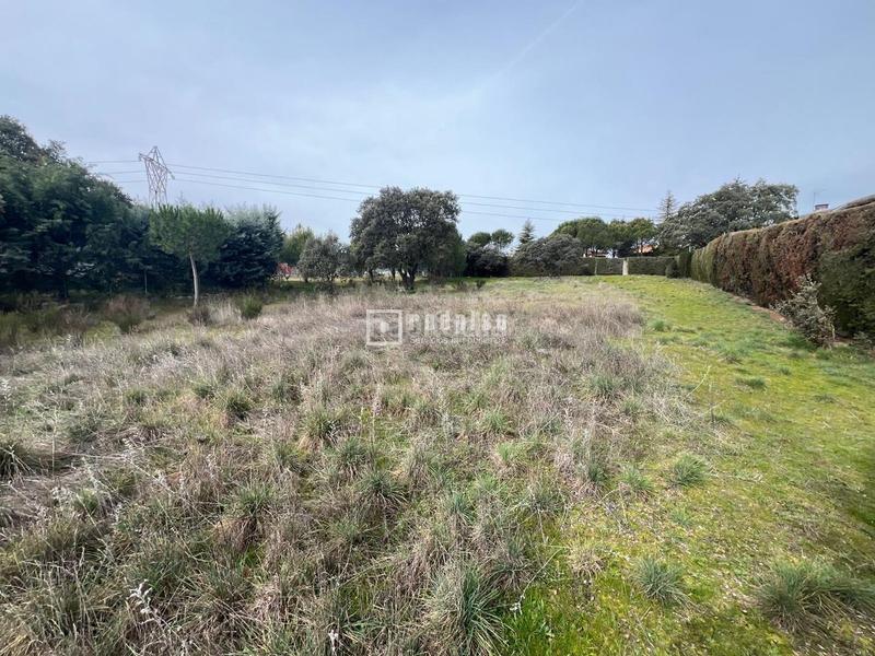 Foto 1a80e0f8-0e35-41df-bf81-a6b15d8dd876. Terrain résidentiel dans Guadarrama