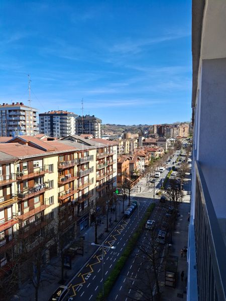 Foto bae2cb6d-ad6d-4da9-9a7e-d0a99ebc6b26. Pis a nafarroa hiribidea 2 a Palmera - Dumboa - Arbes Irun