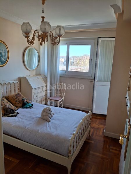 Foto de60c2b6-80a3-4a1b-bb2c-757213701995. Pis a nafarroa hiribidea 2 a Palmera - Dumboa - Arbes Irun