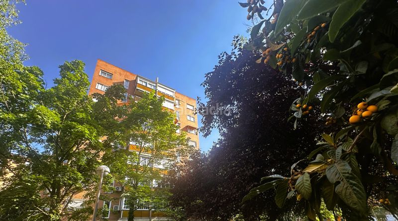 Foto b505417e-111d-4a71-b70f-457edfd3f69b. Piso en Canillas Madrid