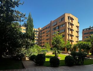 Appartamento in Palomas