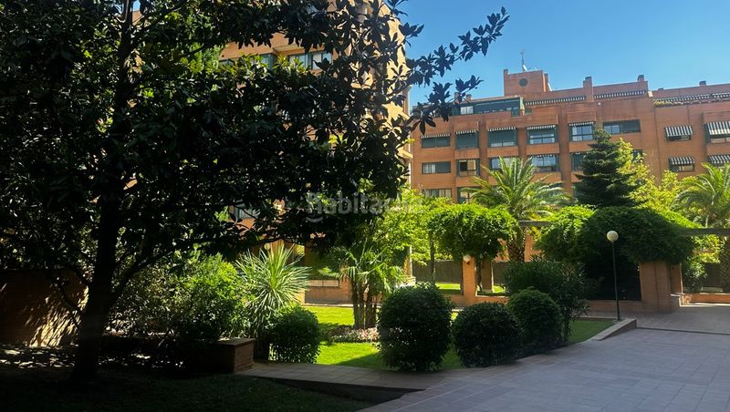 Foto ee3ee477-8b80-4aaf-9d10-2f4295fbd9a6. Piso en Palomas Madrid
