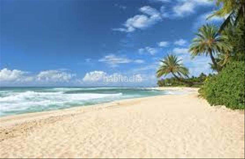 Foto f883e16a-2ee6-43c3-a3be-2f7742fd6f77. Local comercial local inversion prime, arrendatario conocido en Benidorm