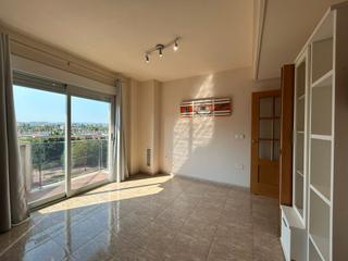 Piso  Avenida juan carlos i. Amplia vivienda en avenida juan carlos primero con plaza de gara