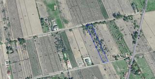 Finca rústica en Flores de Sil - La Placa. Finca en dehesas