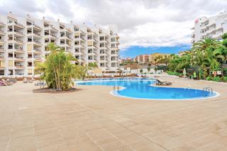 Rent Studio in Los Cristianos. Estudio los cristianos