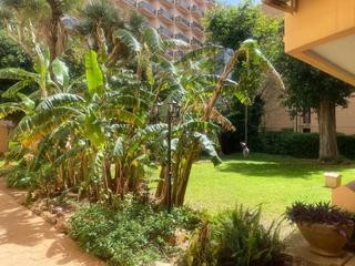 Appartement  Calle tropico. Tu hogar ideal en la carihuela te espera!