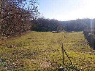 Finca rústica a Casco Histórico. Finca urbanistica con mucha luz en santiago de compostela