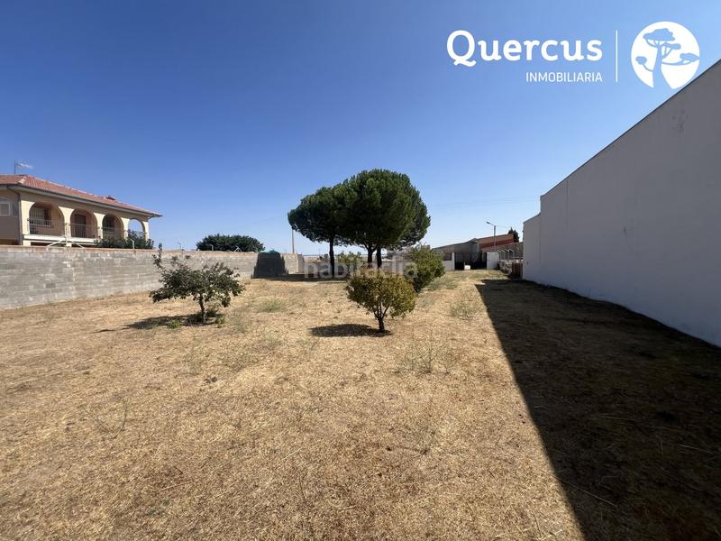 Foto 2cc9c75f-359e-44ae-a78d-3831d367b905. Pis a Marazoleja